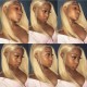 613 Blonde Color 3Pcs Straight Human Hair Bundle with 360 Band Lace Frontal Closure 9A