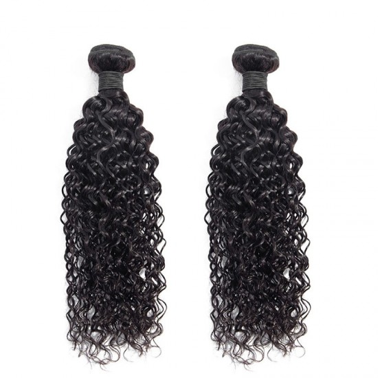 Jerry Curly Brazilian Natural Virgin Human Hair with Closure 