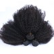 3 Bundle with Closure 4x4 Virgin Human Hair Afro Kinky Curly Hair Natural Hair with Lace Closure Kinky Curls 9A