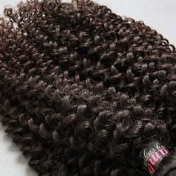 10PCS Wholesale Price Jerry Curls Natural Hair 9A Cambodian Jerry Curly Human Hair free shipping worldwide