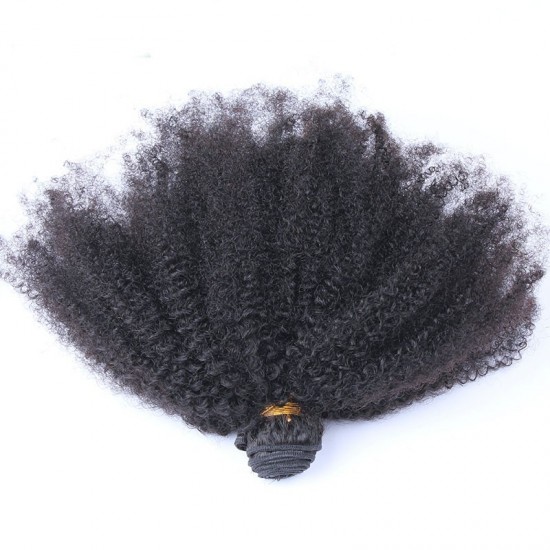 Afro Kinky Curly Hair Bundles Deal with Lace Frontal 13x4 Closure